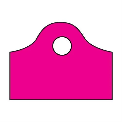 Frosted Super Wave Bags 22 x 18 x 8 - (Sizzling Pink)