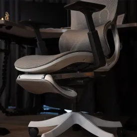 Retractable Footrest